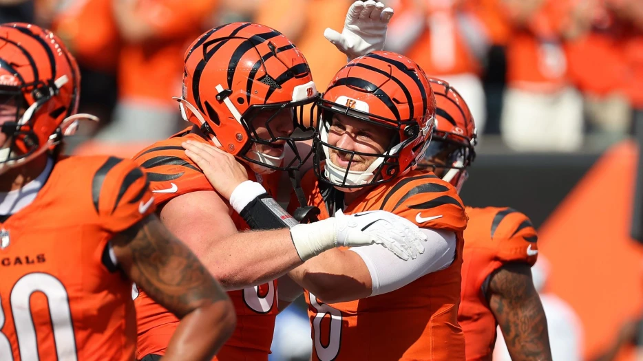 Bengals Make Big Move With Former Patriots Tight End Before Week 12