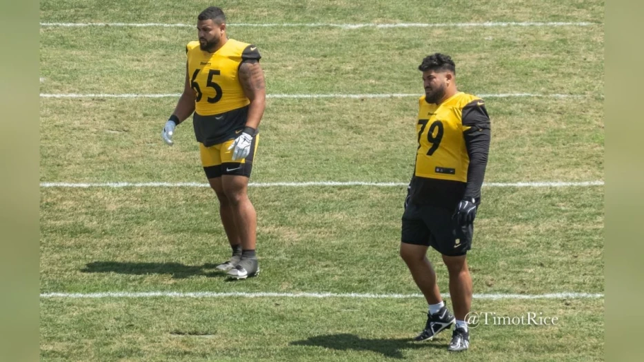 Former Steelers DL Breiden Fehoko Retires From NFL