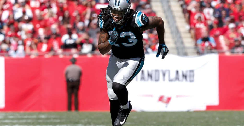 Are the Panthers the best team in the NFC South?