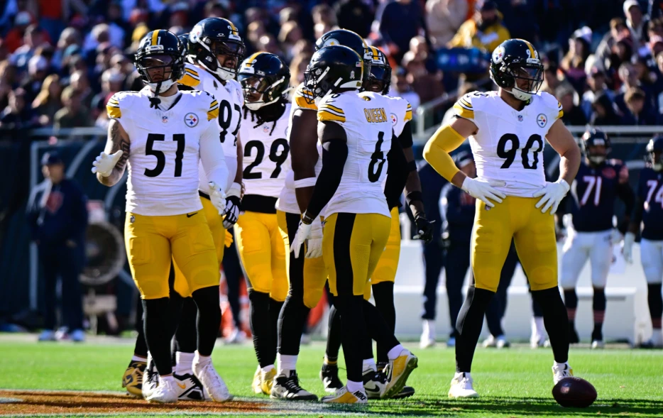 Numbers Paint Ugly Picture for Steelers Defensive Future