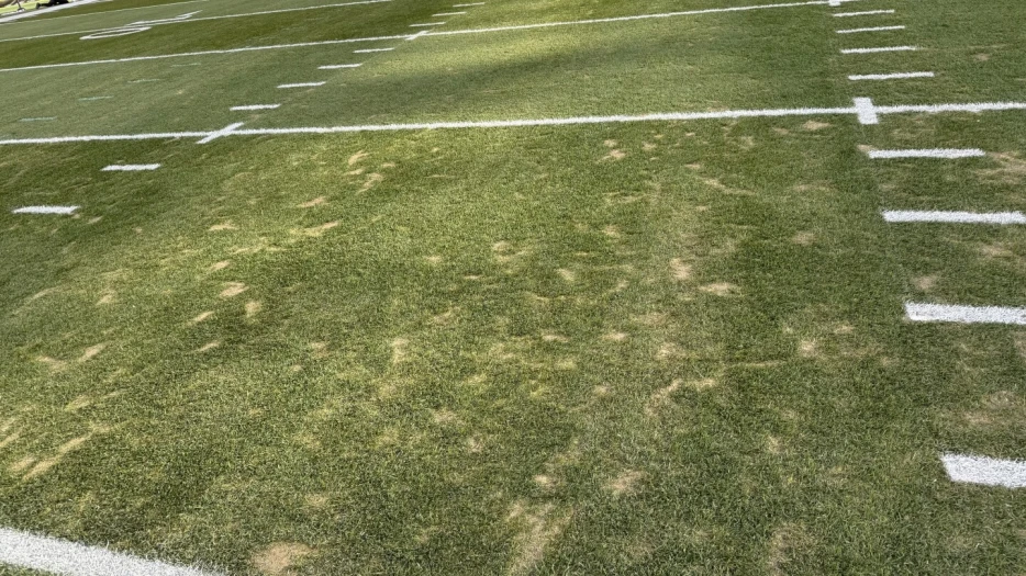 Is Acrisure Stadium turf ready for prime time?