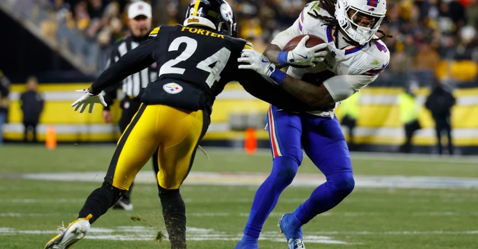 Buffalo Bills at Pittsburgh Steelers Week 13 snap counts