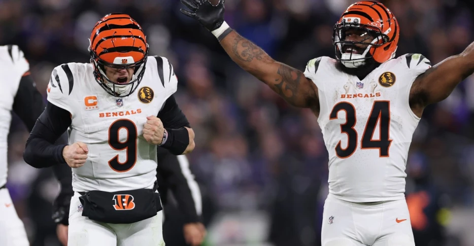 Bengals Snap Count Takeaways vs. Ravens
