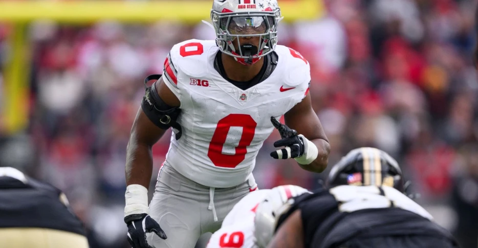 Carolina Panthers 2026 NFL Draft Prospect Profile: Sonny Styles