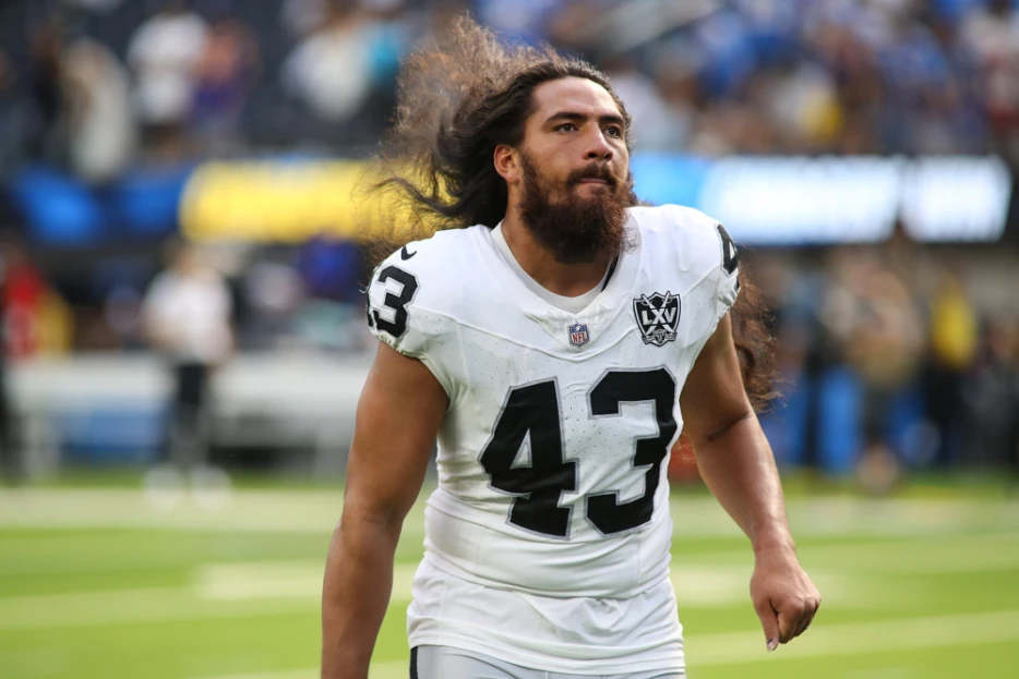 Steelers Sign Hard-Hitting Linebacker