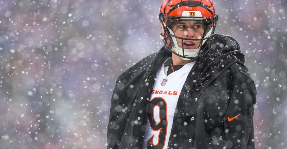 Latest AFC North standings after Week 14