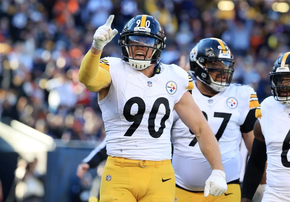 Steelers Take Advantage of Questionable Calls; Beat Ravens 27-22