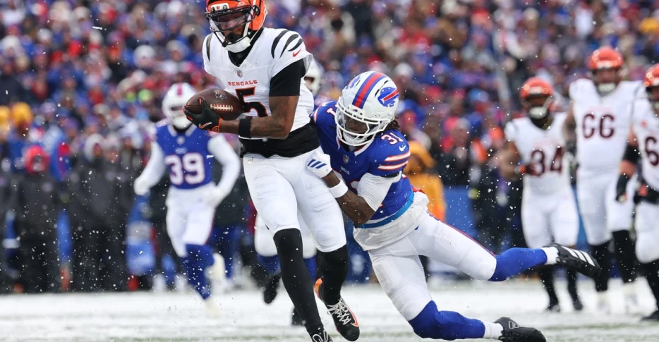 Former Bengals captain compares Tee Higgins to Randy Moss