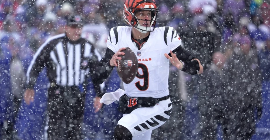 Bengals vs. Ravens odds for NFL Week 15