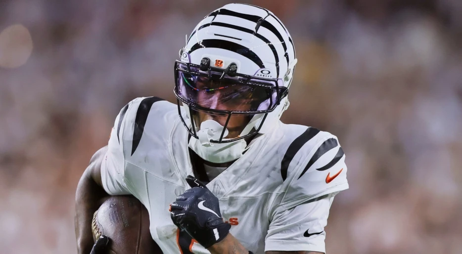 NFL Fans Want The Cincinnati Bengals Investigated Immediately