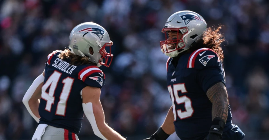 Patriots game day roster: NFL Week 15 vs. Bills