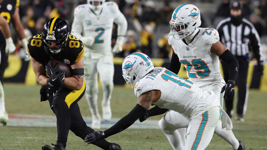 Dolphins fans down bad after Steelers spoil playoff push
