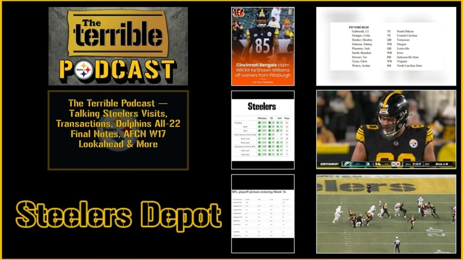 The Terrible Podcast — Talking Steelers Visits, Transactions, Dolphins All-22 Final Notes, AFCN W17 Look Ahead &amp; More