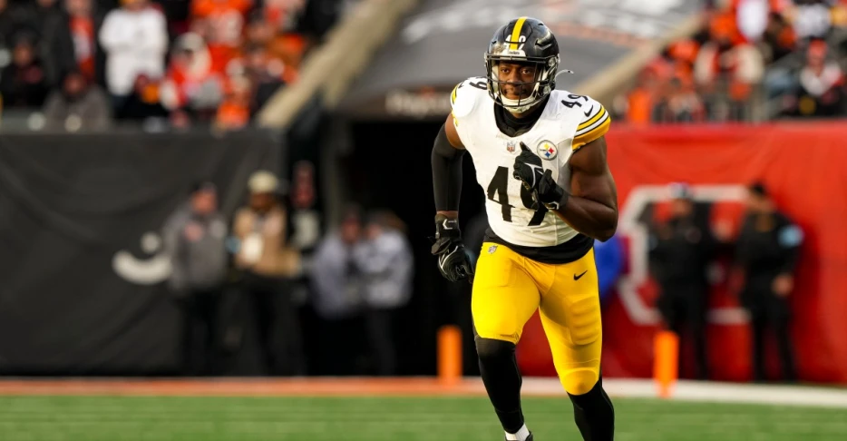 Report: Steelers poaching Panthers OLB