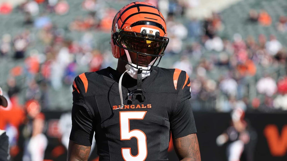 Bengals’ Tee Higgins puts concussion concerns to rest after returning vs. Dolphins