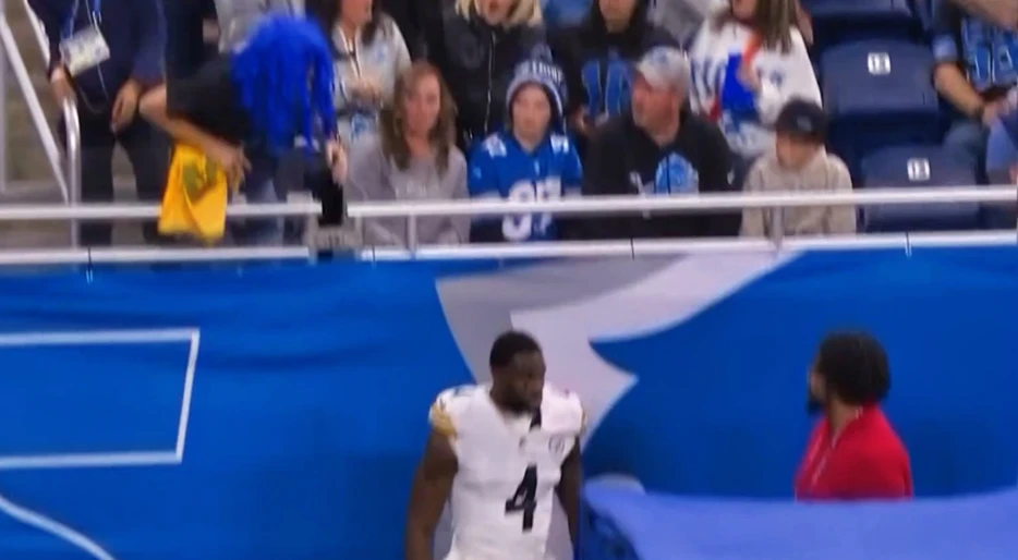 Social Media Calls Out Security Guard For His Actions After DK Metcalf Punched a Lions Fan [VIDEO]