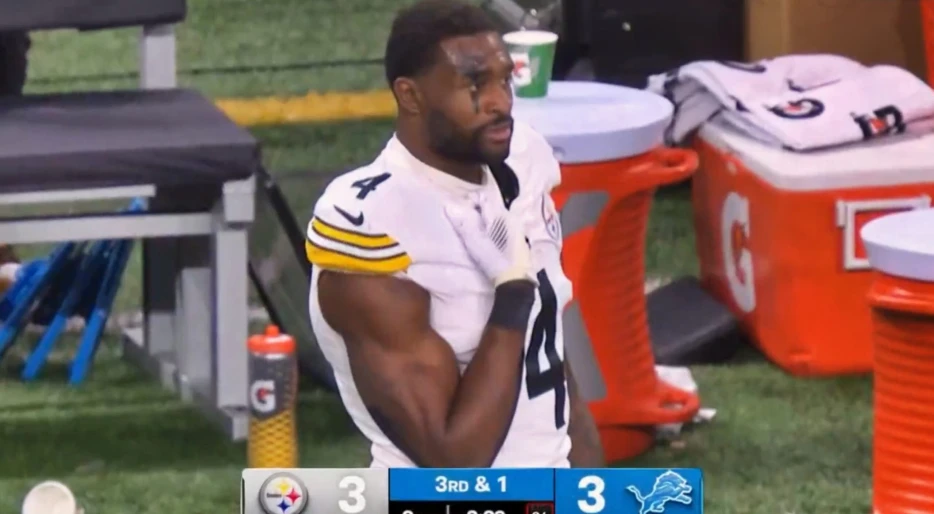 Clear New Photo Emerges Of Lions Fan Who Got Punched By DK Metcalf, And Everyone Is Saying The Same Thing