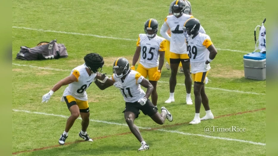 Report: Steelers Signing WR Brandon Johnson To Practice Squad