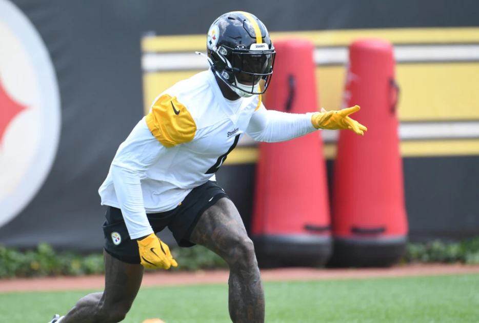 Steelers “Reaffirmed Their Commitment” To D.K. Metcalf