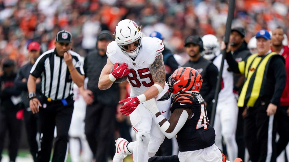 Fantasy Football Tight End Rankings: Week 18 2025