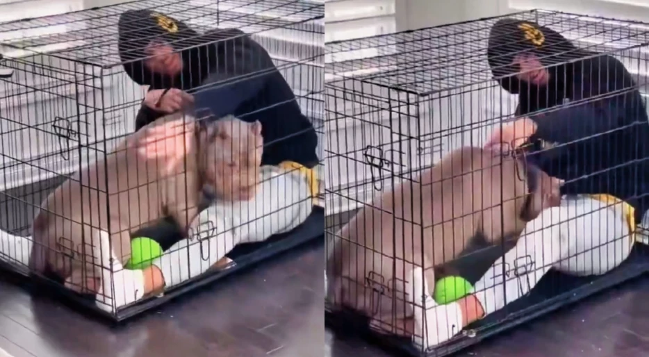 Buffalo Bills WR Keon Coleman Somehow Locked Himself Inside His Dog’s Cage [VIDEO]