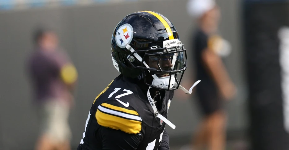 Steelers elevate DB for Week 18