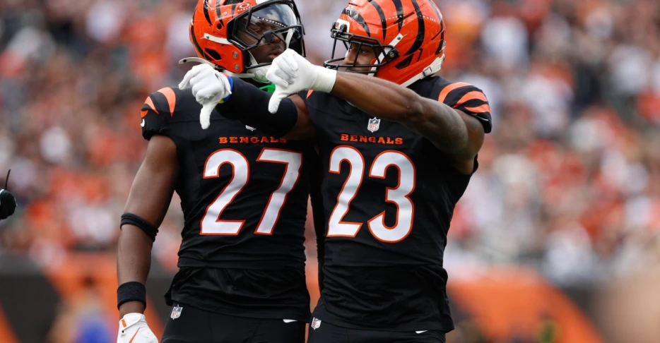 Year-end snap count takeaways for the Cincinnati Bengals