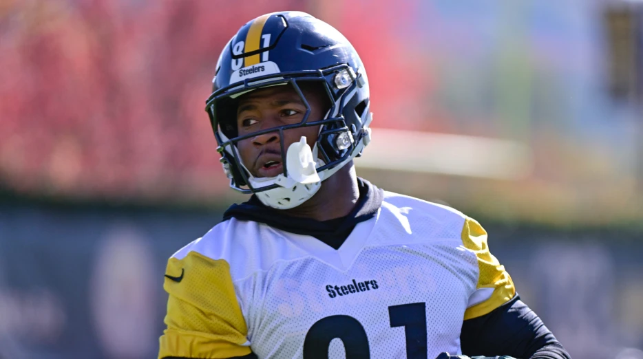 Steelers Tight End Suffers New Injury, Limited in Practice