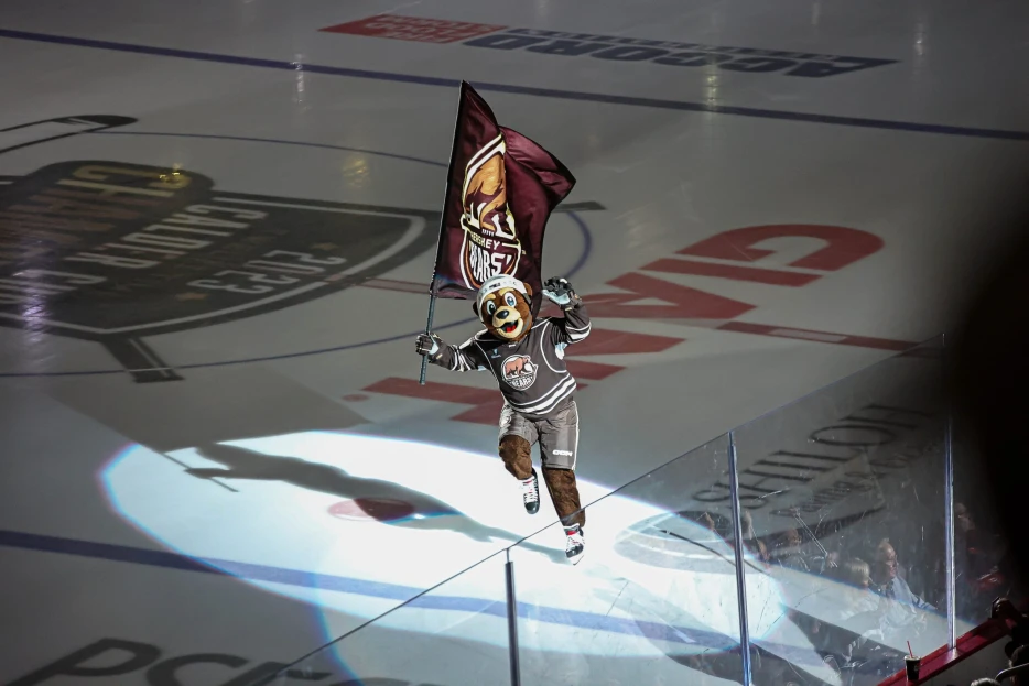 Hershey’s Youth Hockey Brawl a Preview of What the Eagles’ Defense Will Do to the 49ers