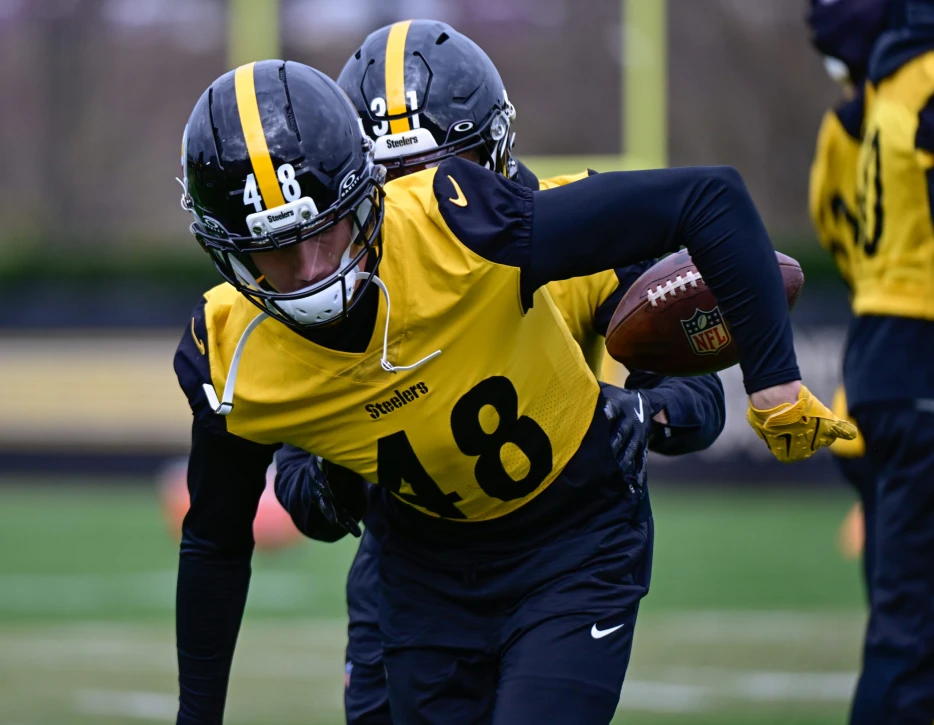 Steelers Re-Sign Safety after Release by Dolphins