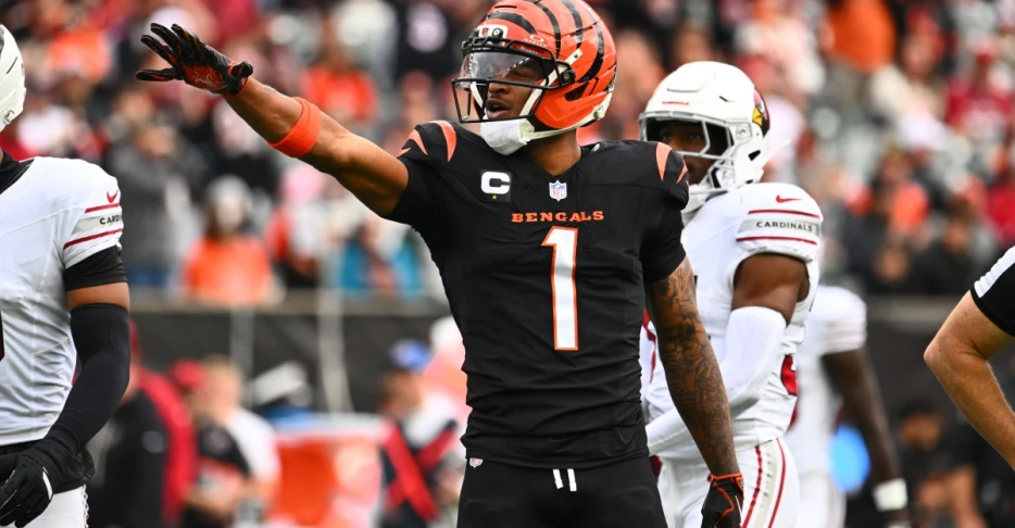 Bengals News (1/19): 2025 Awards