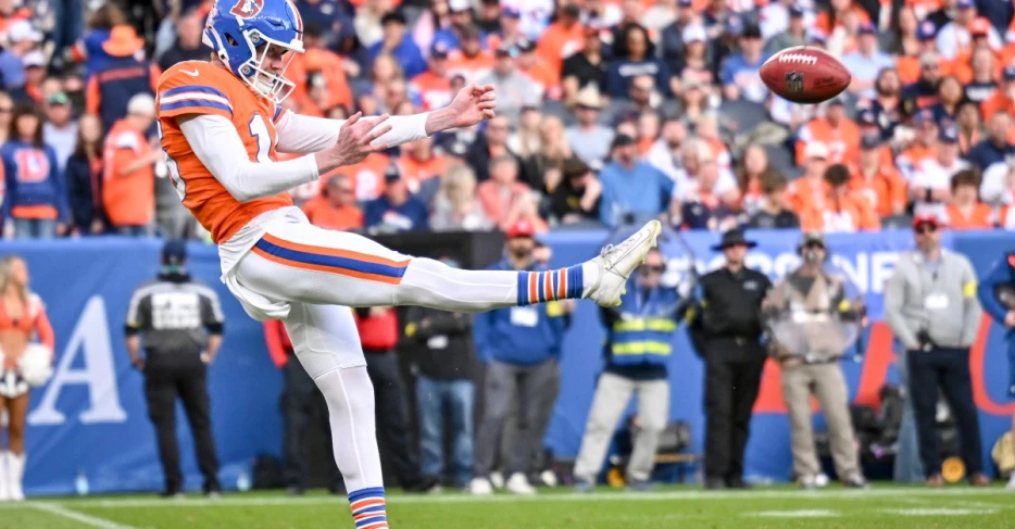 Full NFL punting review for 2025