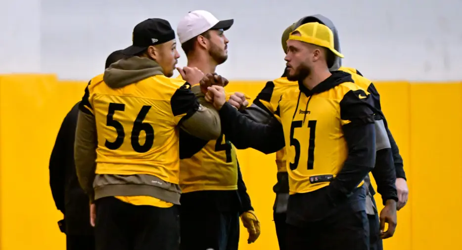 James Harrison Names Odd Man Out of Steelers OLB Room