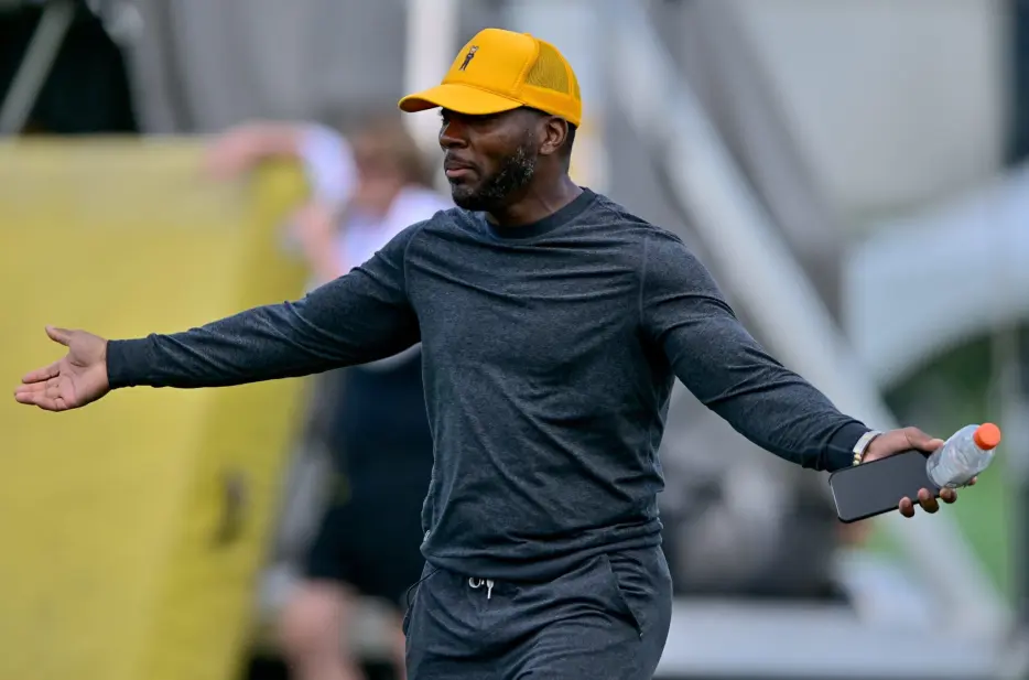 Analyst Reveals What Factored Into Ex-Steeler Ryan Clark’s Firing