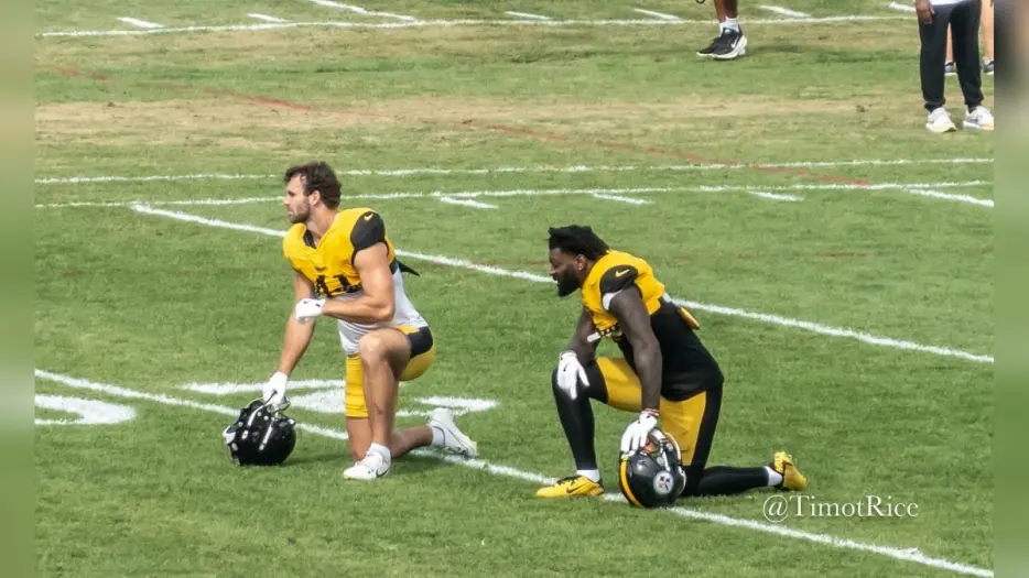 Ranking The Rooms: AFC North Off-Ball LBs