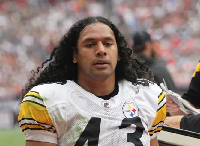 Ex-Patriots TE Admits Misjudging Steelers Great Troy Polamalu