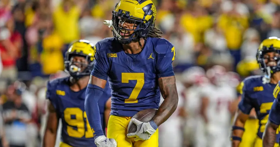 Steelers Cut Ties with Hard-Hitting Safety