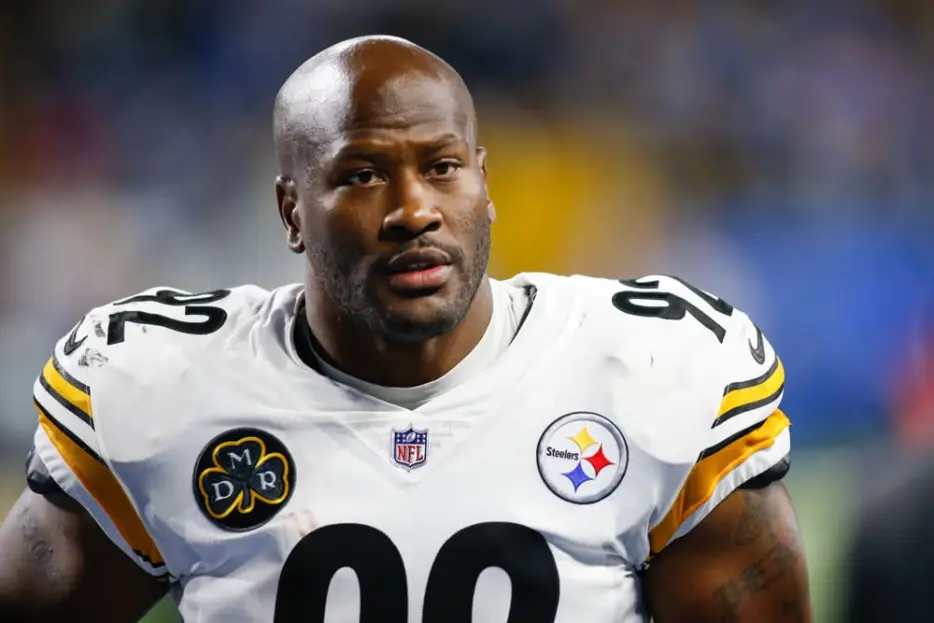 Former Browns WR Shares Wild Story on What James Harrison Did to Him