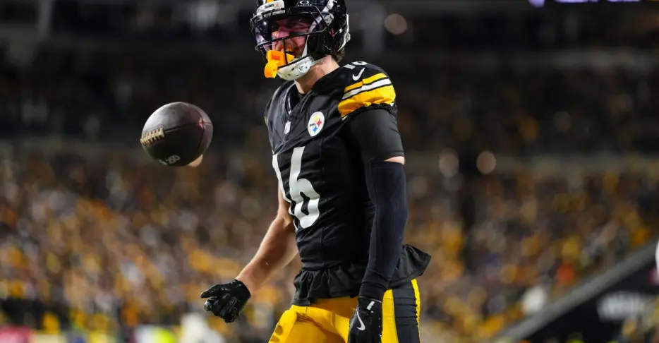 Recently retired Steelers WR praises Aaron Rodgers