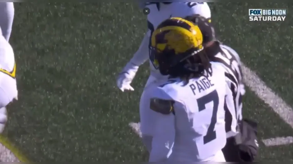 Pittsburgh Steelers Waive Just-Signed Safety