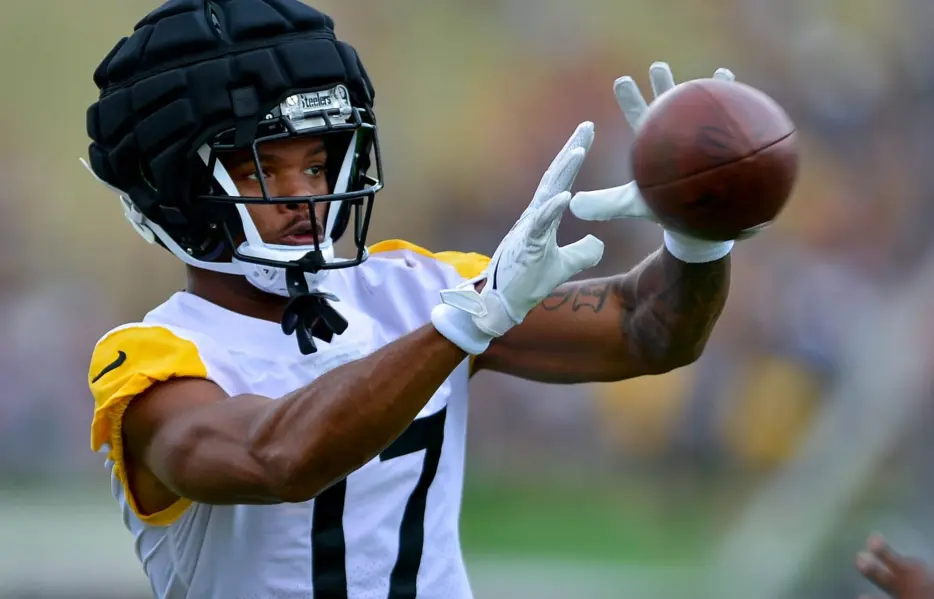 Lions Sign Ex-Steelers Wide Receiver