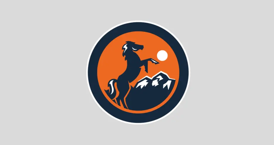Denver Broncos roster review: EDGE Nik Bonitto