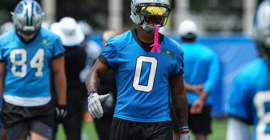 Panthers Reacts Survey: Who has you hyped for training camp?
