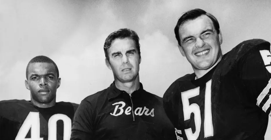 All-Time Historical Bears Team Tournament: Evil Demons from Hell vs Bear Essentials