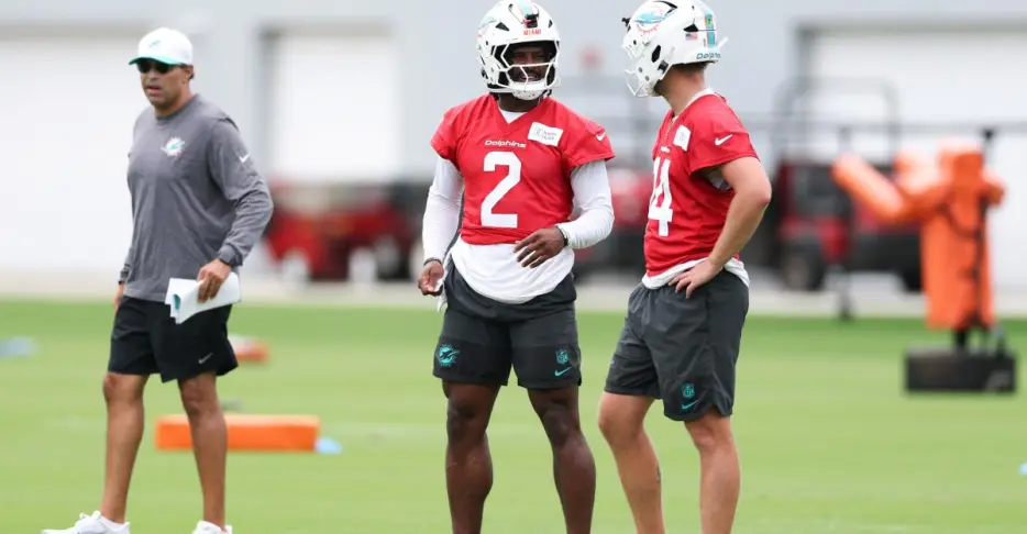 Dolphins Fans Take On Possible QB Competition