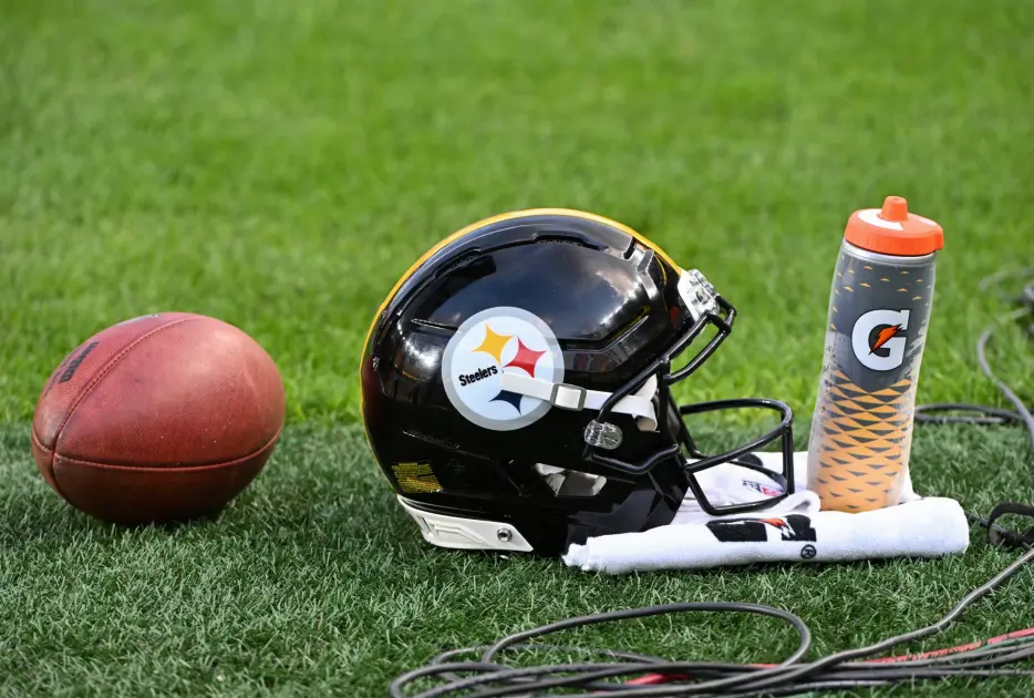 Steelers Claim P Aidan Laros, Waive WR Brandon Johnson