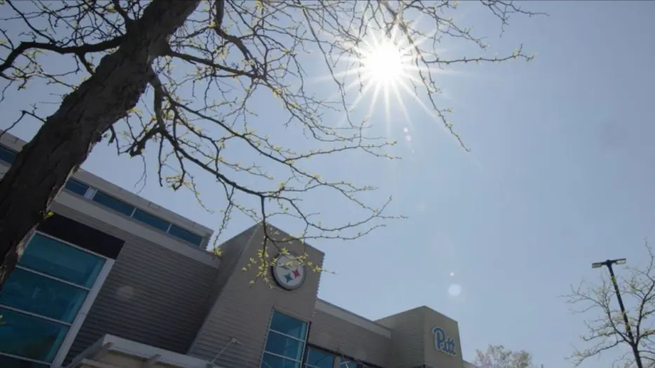 Insider Reveals Why Steelers Fired Assistant Coach Derius Swinton II