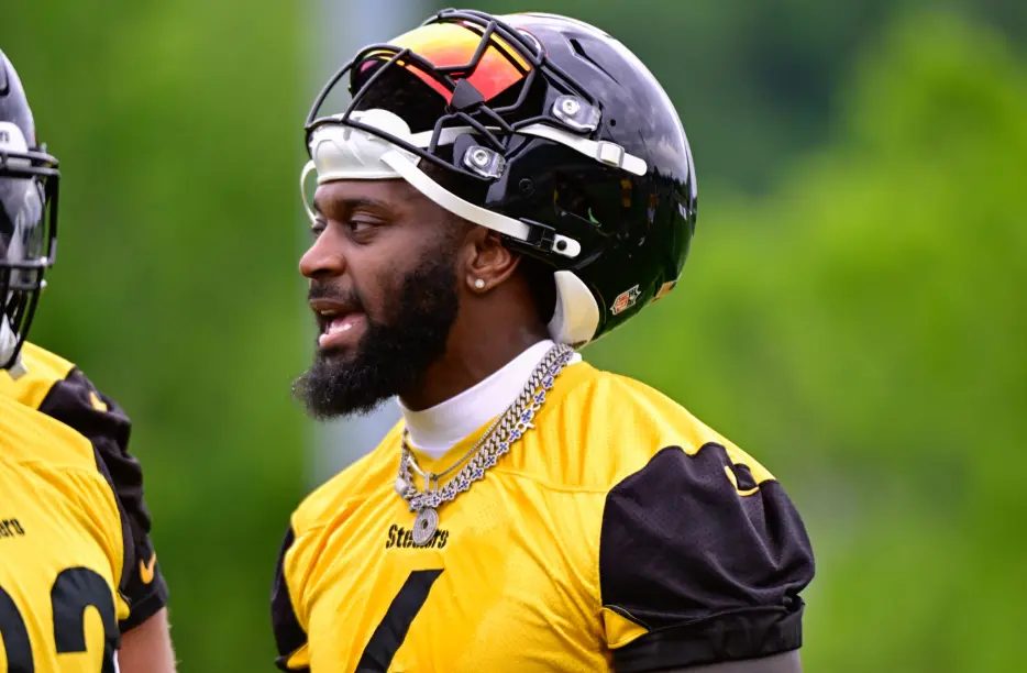 Several Steelers Players Push for Grass Fields after World Cup Mandate
